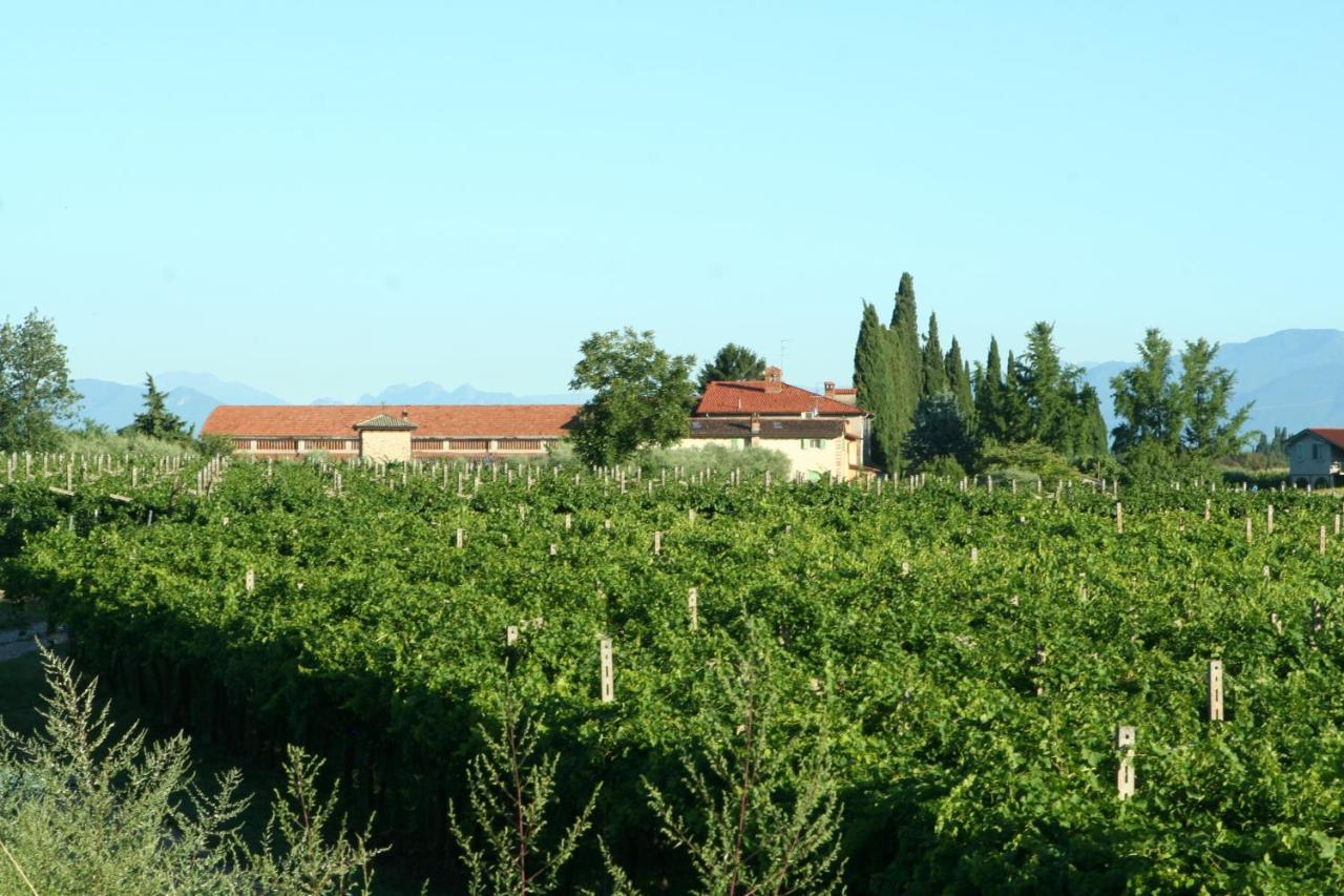 Cà Donzella Lazise