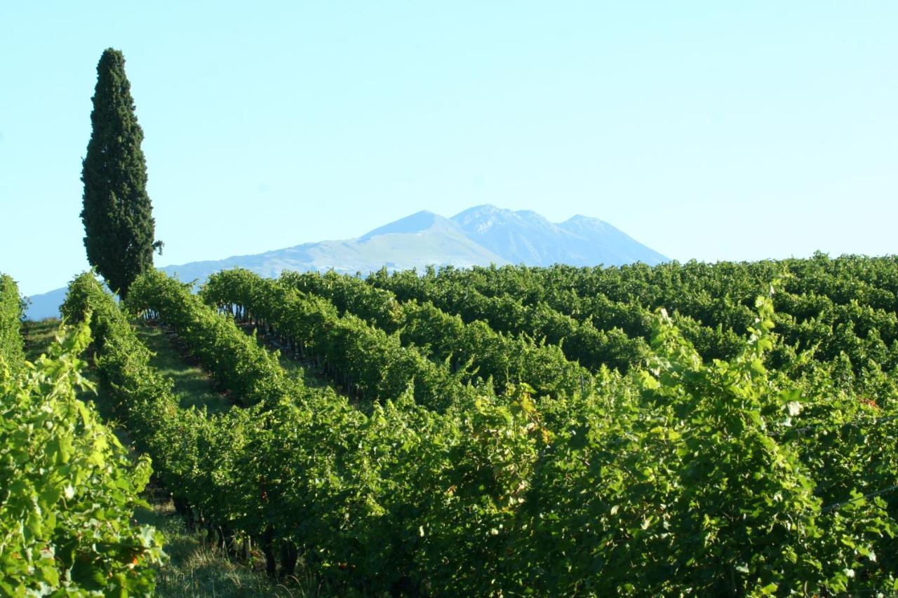 Bed & Breakfast Ca Donzella